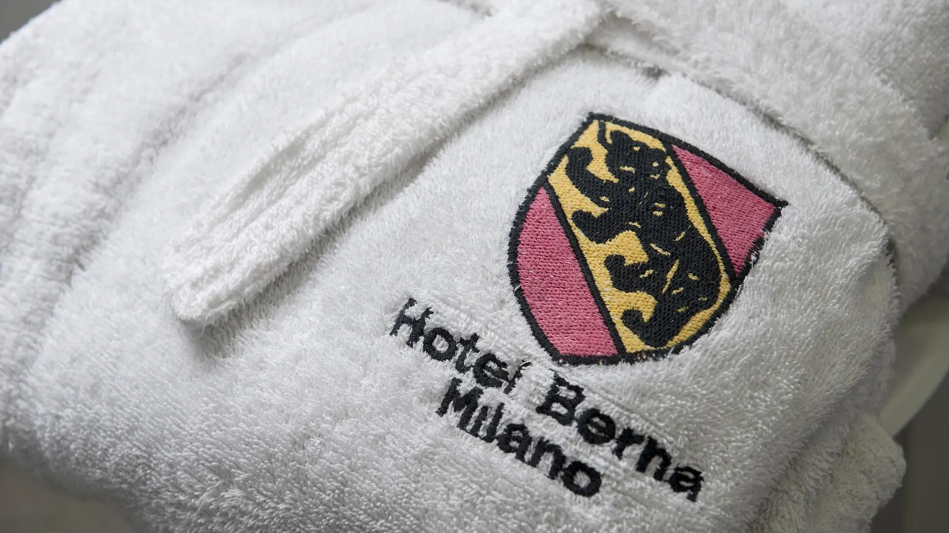 Hotel Berna Milan