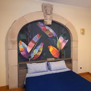 Apartment Amedei4